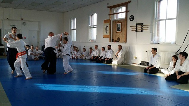 Aikido Seminar adults and kids 